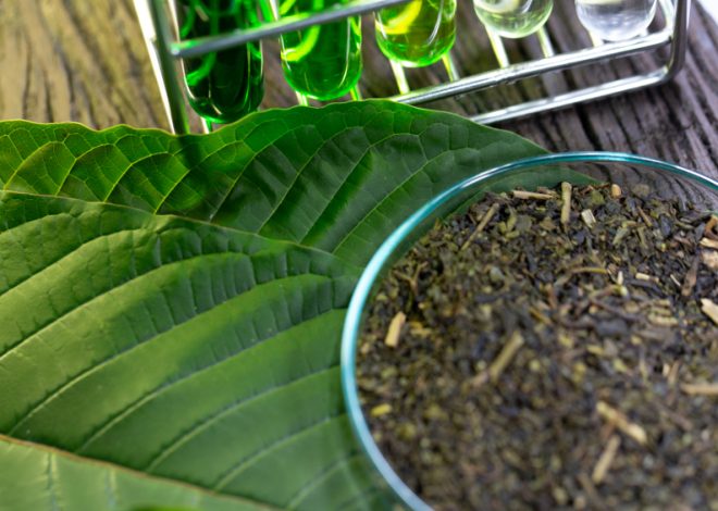 Building Daily Wellness Routines With Carefully Selected Kratom Strain Choices