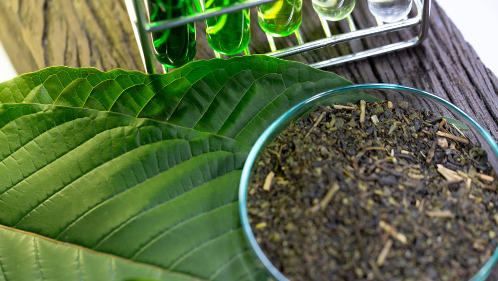 Building Daily Wellness Routines With Carefully Selected Kratom Strain Choices