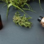 Best THCP Vapes Compared for Flavour, Strength, and Value